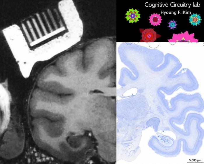 대표그림_김형