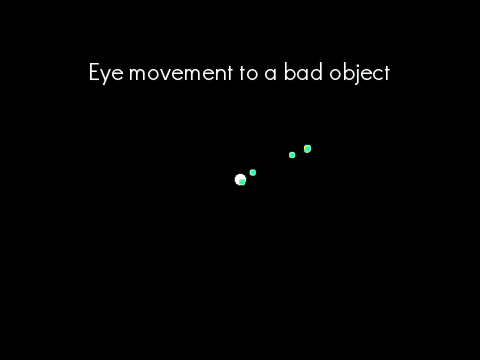 DW-data-saccadet_to_badObj