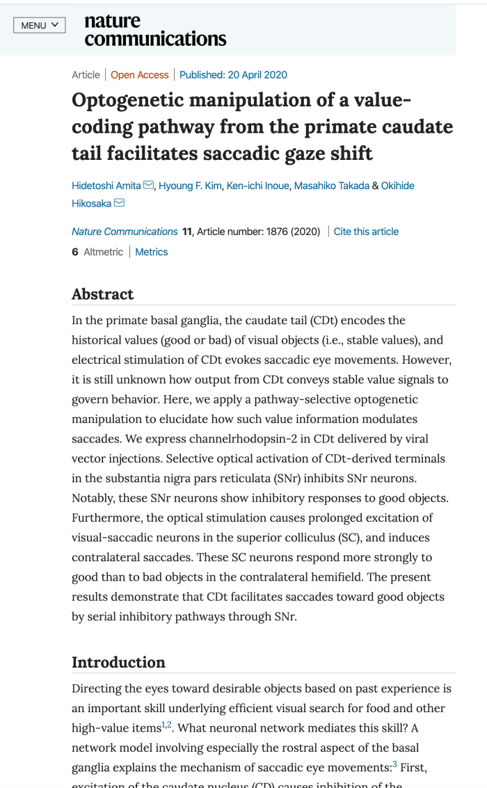 Screen Shot 2020-04-21 at 9.40.22 AM.png