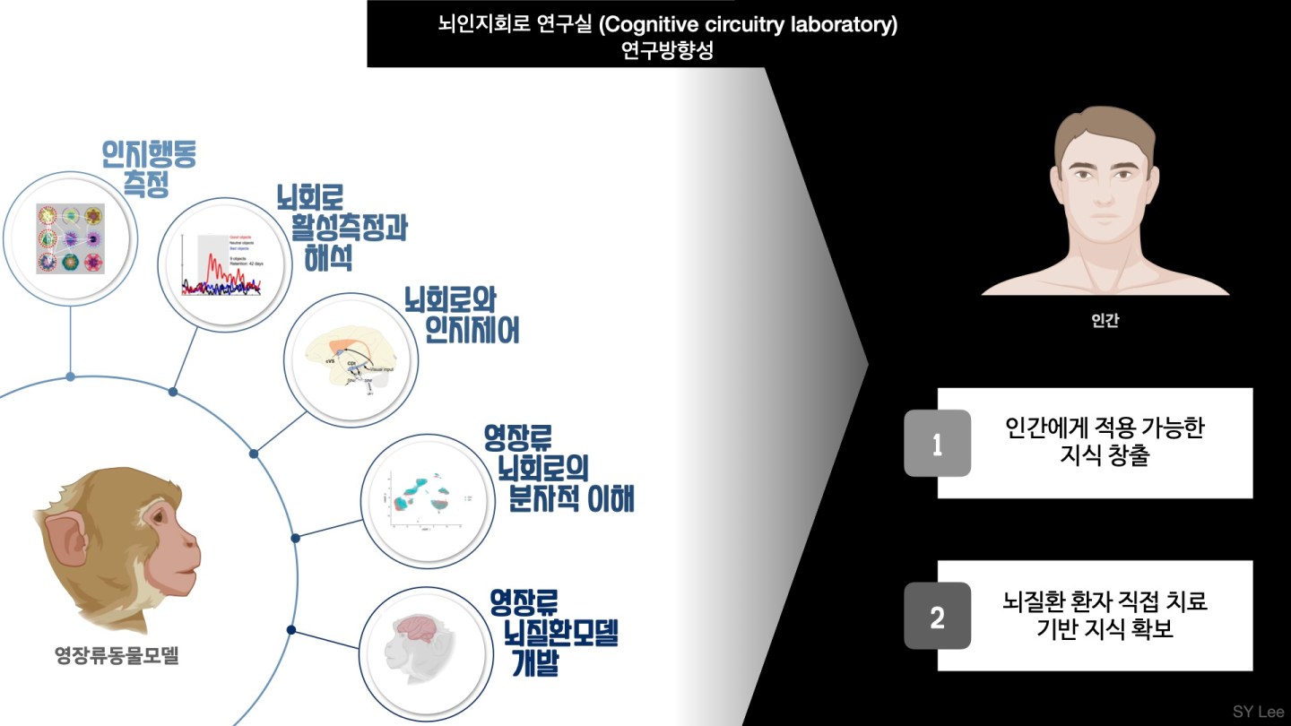 Research direction – Cognitive Circuitry Lab